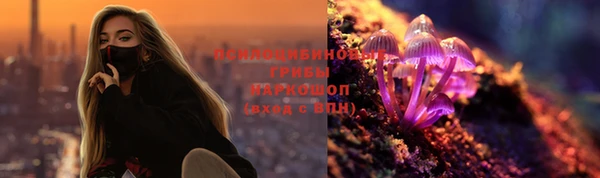 прущие крисы Белоозёрский