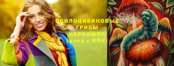 мяу мяу мука Белокуриха