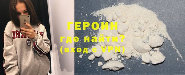 дживик Няндома